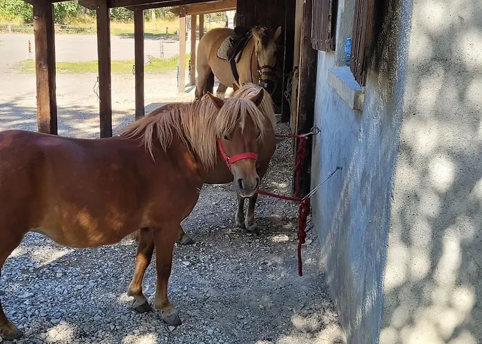 Apartmán Chaleureux A La Foux D'allos