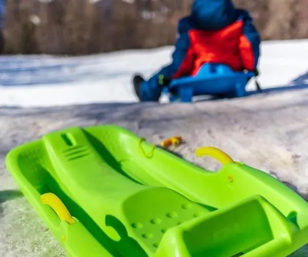 Chaleureux A La Foux D'allos * Allos
