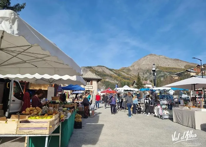 Apartment Chaleureux A La Foux D'allos